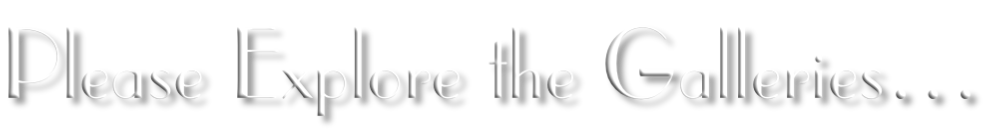 Please Explore the Galleries…